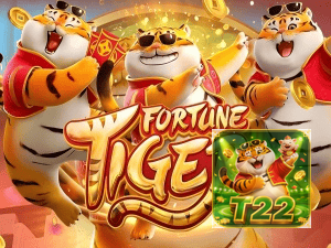 Guia install APK T22 BET BR